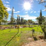 Sul Informação - Câmara de Albufeira aposta na «total recuperação» do Jardim de Montechoro