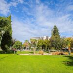 Sul Informação - Câmara de Albufeira aposta na «total recuperação» do Jardim de Montechoro