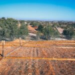 Sul Informação - Albufeira entrega 43 talhões da Horta Comunitária de Alpouvar a famílias e instituições