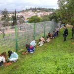 Sul Informação - Albufeira celebra Dia da Floresta Autóctone com plantação de árvores