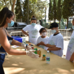 Sul Informação - Alimentação saudável marca Dia Internacional da Juventude em Loulé