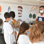 Sul Informação - Alimentação saudável marca Dia Internacional da Juventude em Loulé