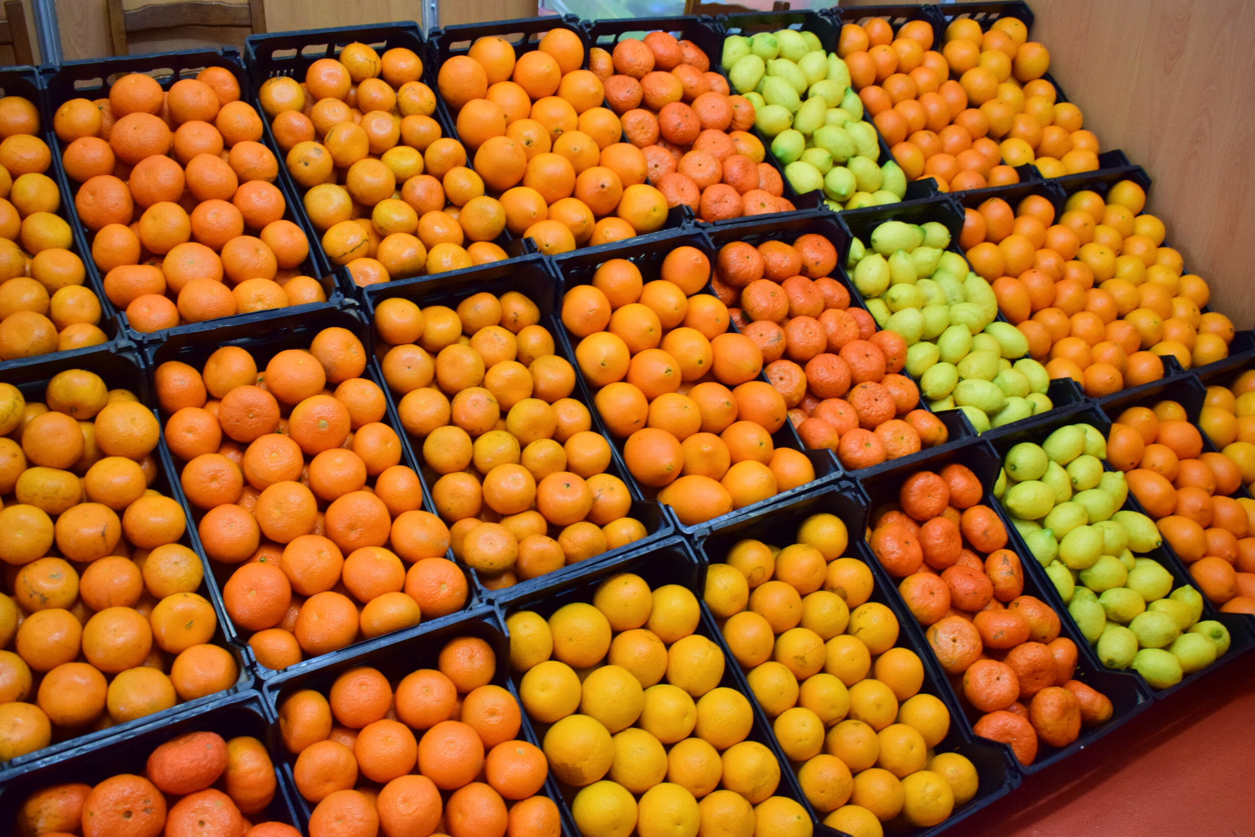 Sul Informação - Abertura da Mostra Silves Capital da Laranja marcada por protestos de agricultores