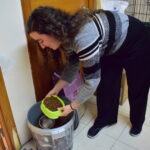 Sul Informação - Associação apela à esterilização para diminuir a taxa de abandono dos animais