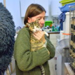 Sul Informação - Associação apela à esterilização para diminuir a taxa de abandono dos animais