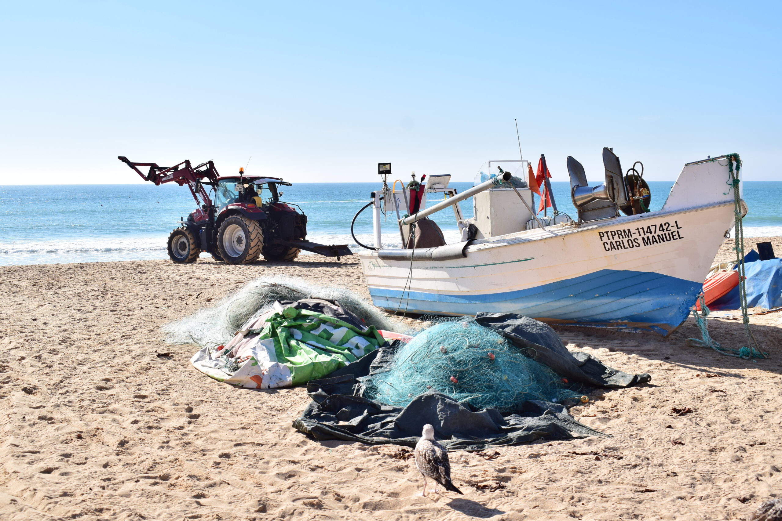 Sul Informação - COP28: Ministro defende consenso para que área marinha protegida do Algarve seja replicada