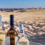 Sul Informação - Uvas algarvias resistem à vaga de calor e até se prevê mais vinho