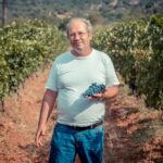 Sul Informação - Produção de vinho aumenta 20% no Algarve, apesar do Verão muito seco