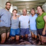 Sul Informação - Produção de vinho aumenta 20% no Algarve, apesar do Verão muito seco