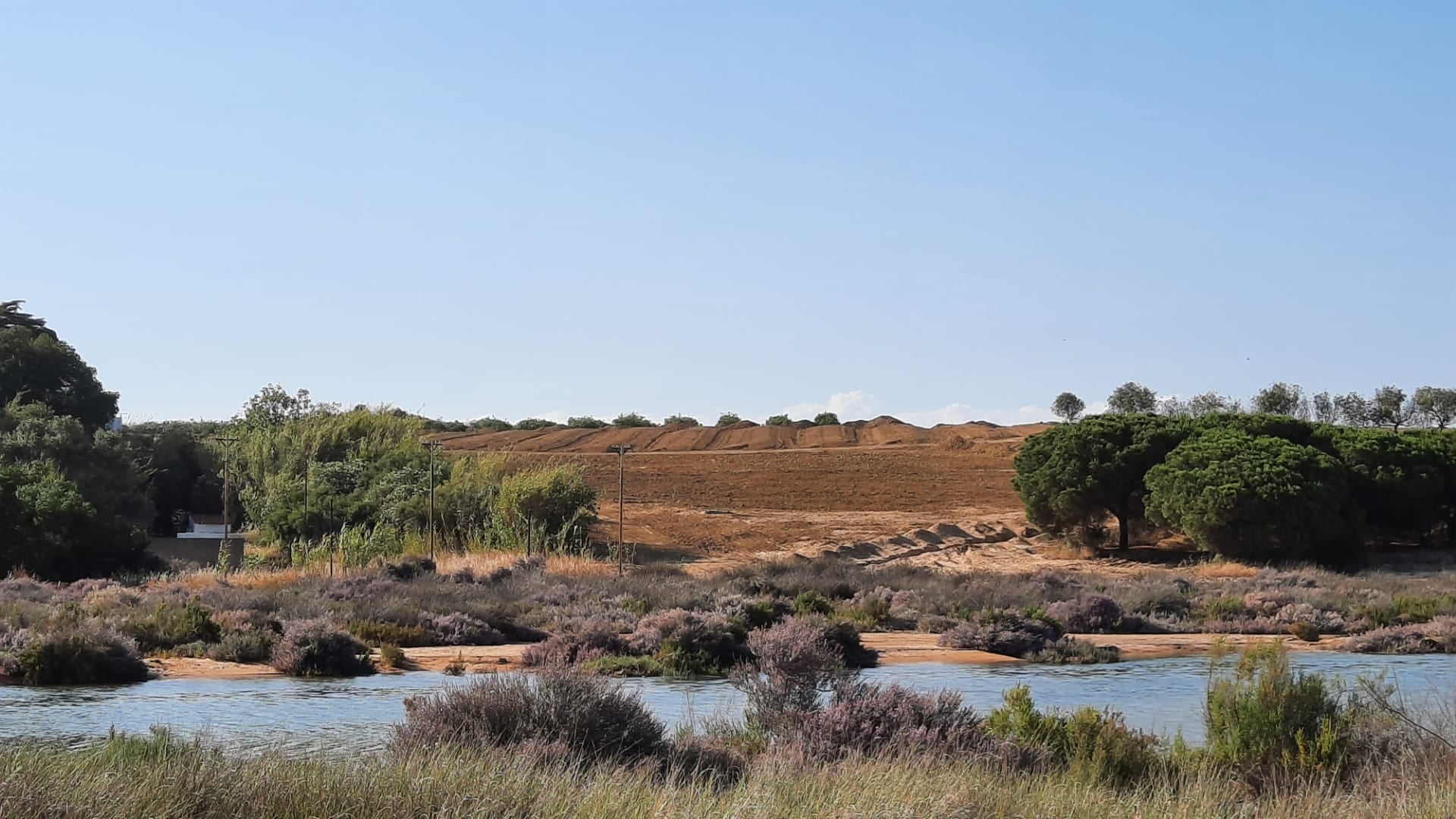 Sul Informação - ICNF embarga trabalhos da Frusoal junto à Ria Formosa em Cacela