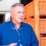 Sul Informação - Produção de citrinos no Algarve aumenta em 2022, mas seca é preocupação