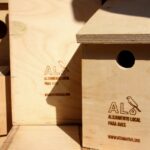 Sul Informação - Castro Marim cria “Alojamento Local para Aves” com 35 caixas-ninho
