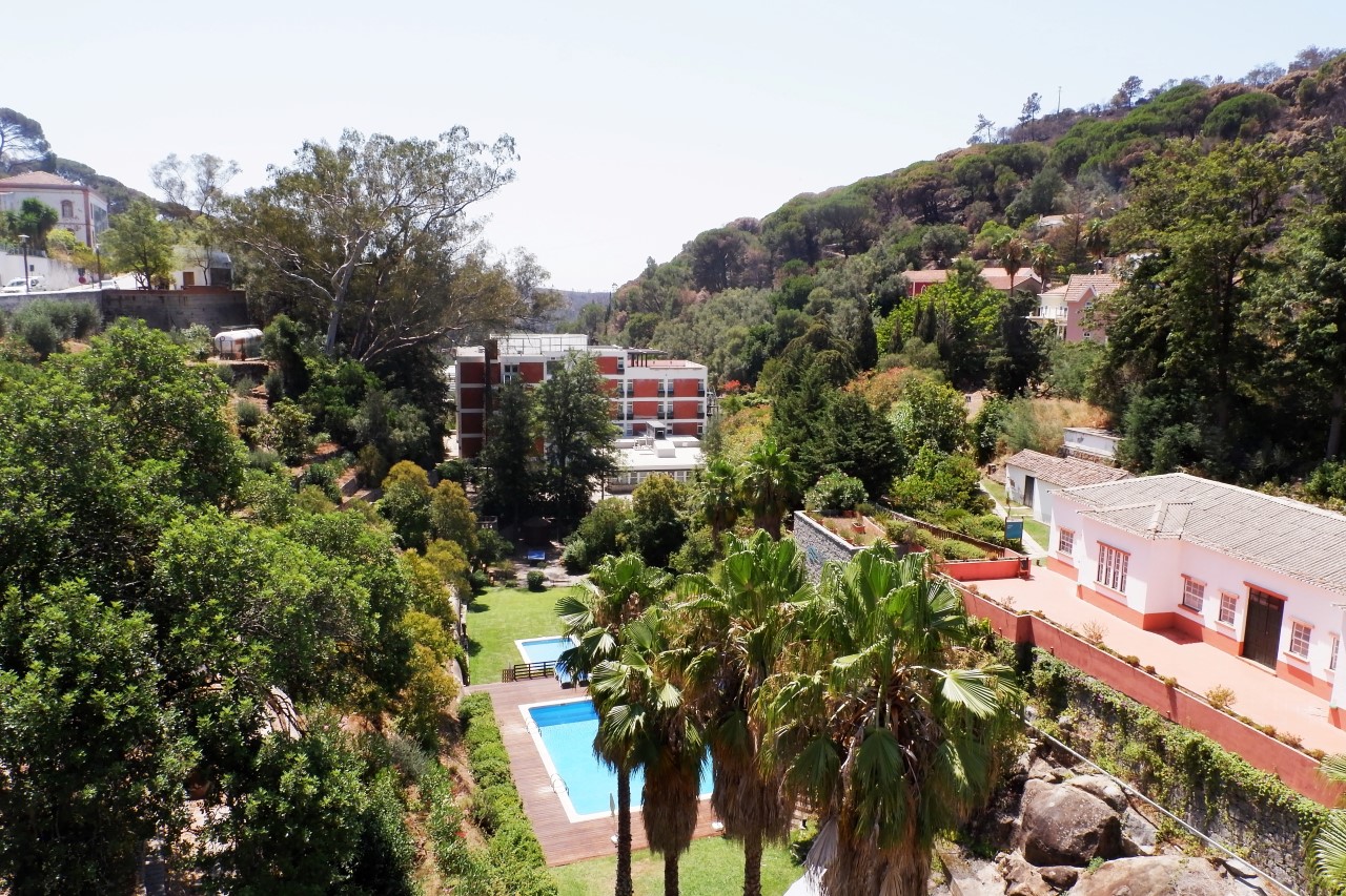 Sul Informação - Termas de Monchique reabrem ao público depois do incêndio