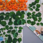 Sul Informação - Festival de Caminhadas voltou a deixar «pegada positiva» no Ameixial