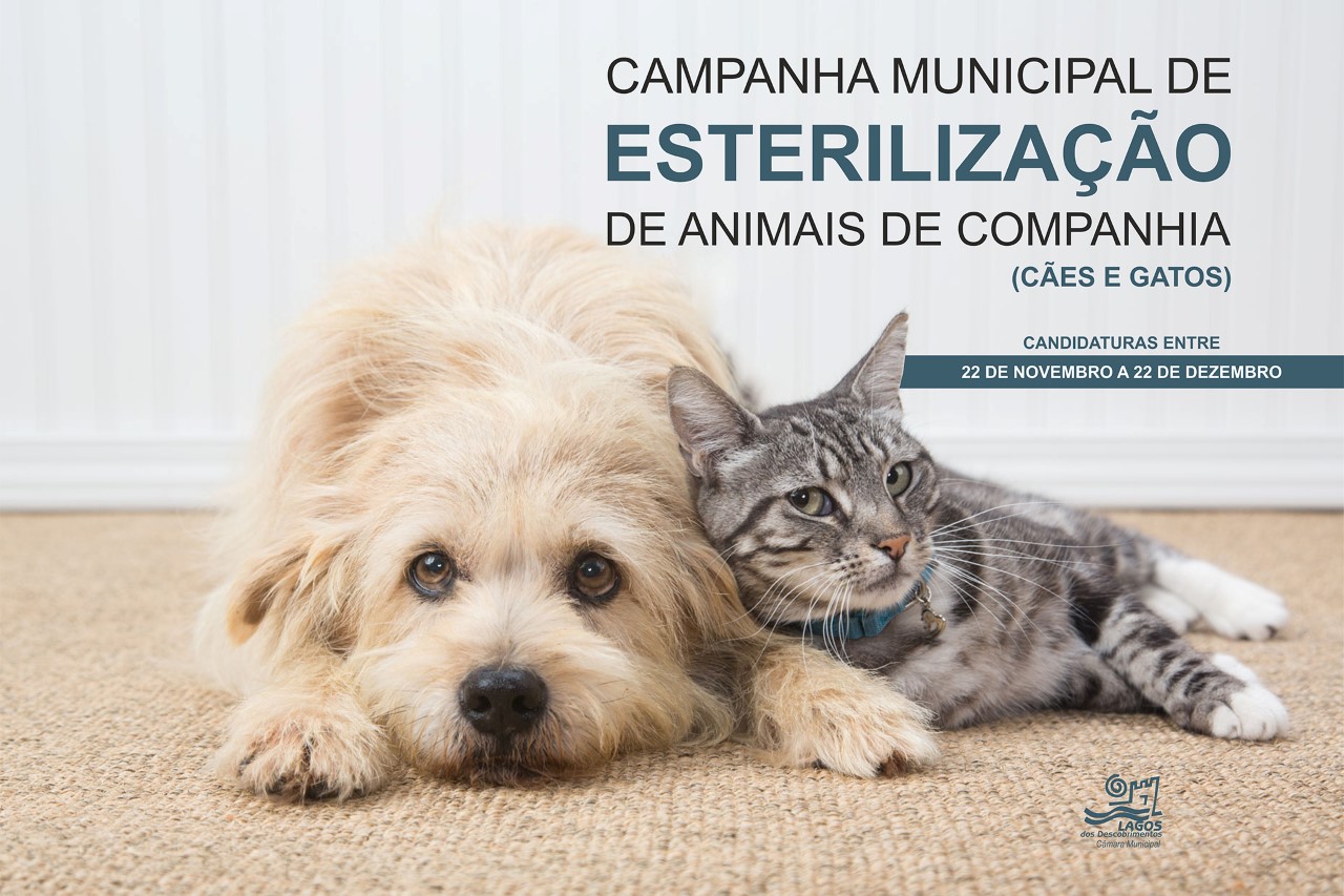 Sul Informação - Lagos lança campanha gratuita de esterilização de cães e gatos