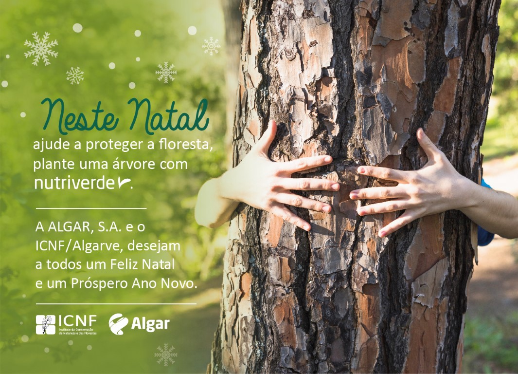Sul Informação - Algar e ICNF juntam-se para campanha de Natal que convida a proteger a floresta