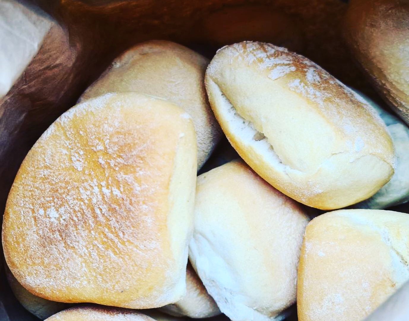 Sul Informação - “Pão por Pão”: Banco Alimentar do Algarve distribui carcaças