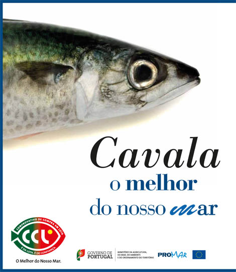 Sul Informação - Olhão debate Consumo de Pescado e Benefícios para a Saúde