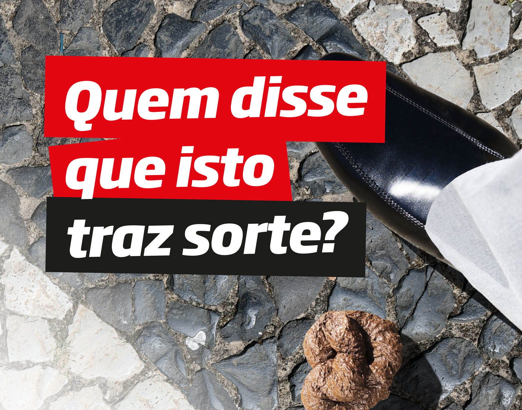 Sul Informação - Vila Real de Santo António lança nova campanha para combater cocós de cão e gato nas ruas
