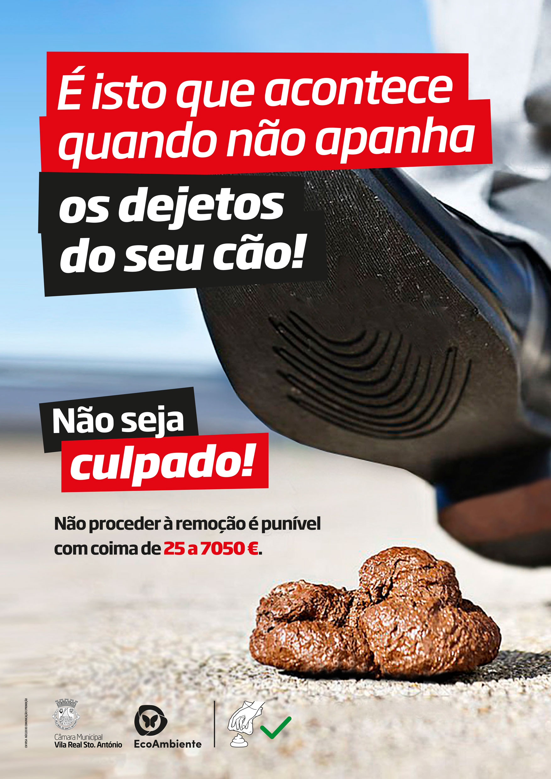 Sul Informação