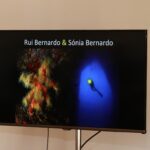 Sul Informação - Campeonato Nacional de Fotografia Subaquática decorreu no mar de Sagres