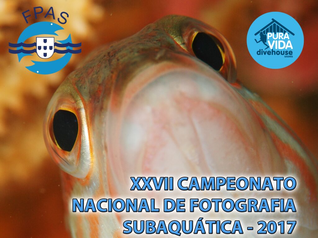 Sul Informação