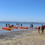 Sul Informação - Canoas da Junta de Olhão já puseram centenas a remar na Ria Formosa (com fotos)