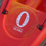 Sul Informação - Canoas da Junta de Olhão já puseram centenas a remar na Ria Formosa (com fotos)