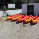 Sul Informação - Canoas da Junta de Olhão já puseram centenas a remar na Ria Formosa (com fotos)