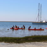 Sul Informação - Canoas da Junta de Olhão já puseram centenas a remar na Ria Formosa (com fotos)