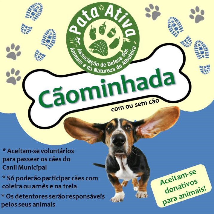 Sul Informação - Associação Pata Ativa organiza mais uma “Cãominhada” em Albufeira