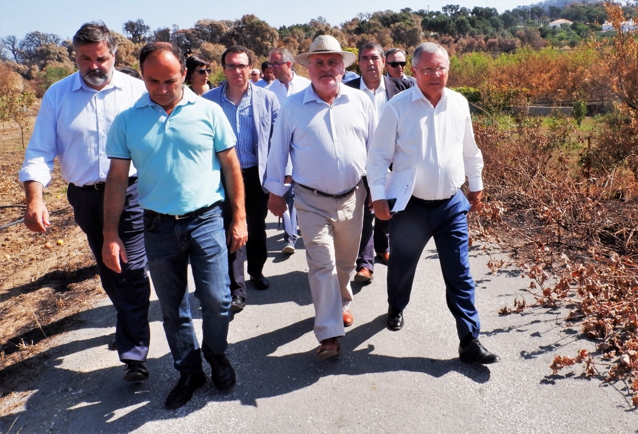 Sul Informação - Agricultores afetados pelo incêndio podem investir já, porque serão apoiados