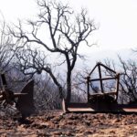 Sul Informação - Agricultores afetados pelo incêndio podem investir já, porque serão apoiados