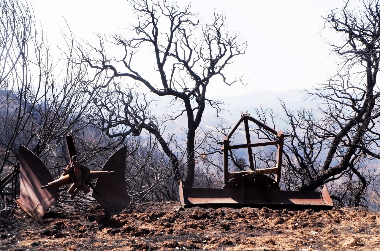 Sul Informação - Agricultores afetados pelo incêndio podem investir já, porque serão apoiados