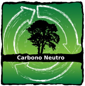 Sul Informação - Solar One anda a criar empresas verdes com a iniciativa Carbono Neutro