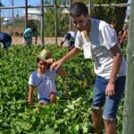 Sul Informação - Associação Académica promove praxes solidárias para ajudar IPSS algarvias