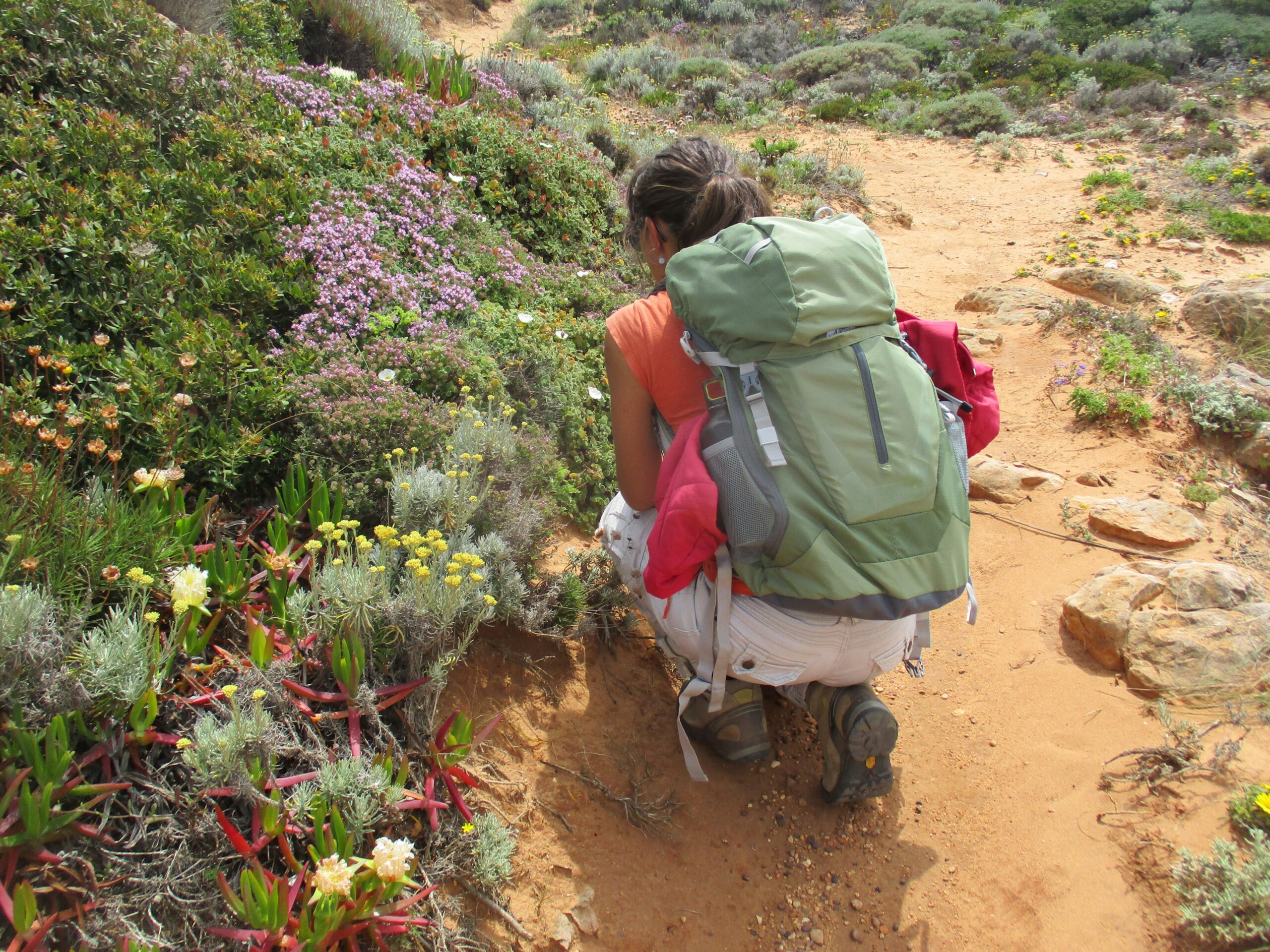 Sul Informação - Promontório de Sagres celebra a Primavera com caminhada sensorial e oficina de monotipia