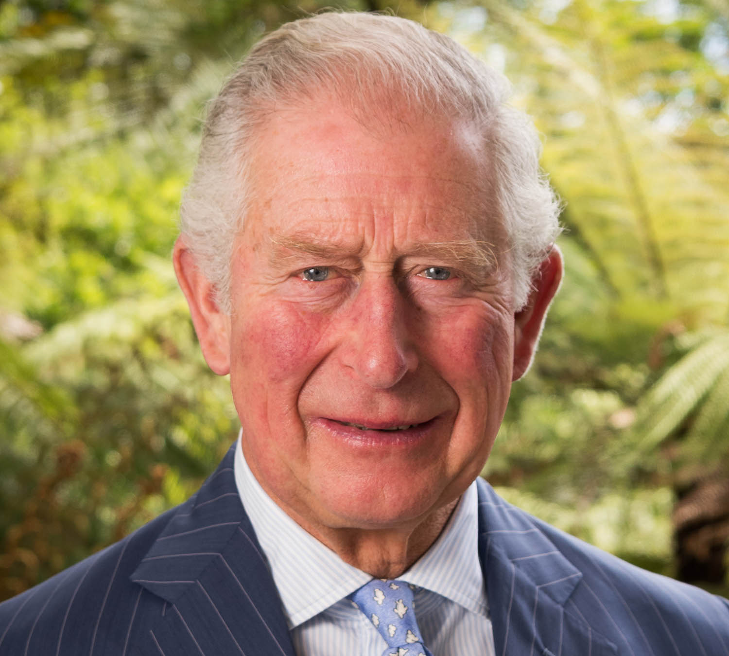 Sul Informação - O que pensa o novo rei britânico Carlos III, do ambiente à arte