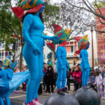 Sul Informação - Muita animação, cor e música: assim foi o primeiro dia do Carnaval de Loulé [fotogaleria]