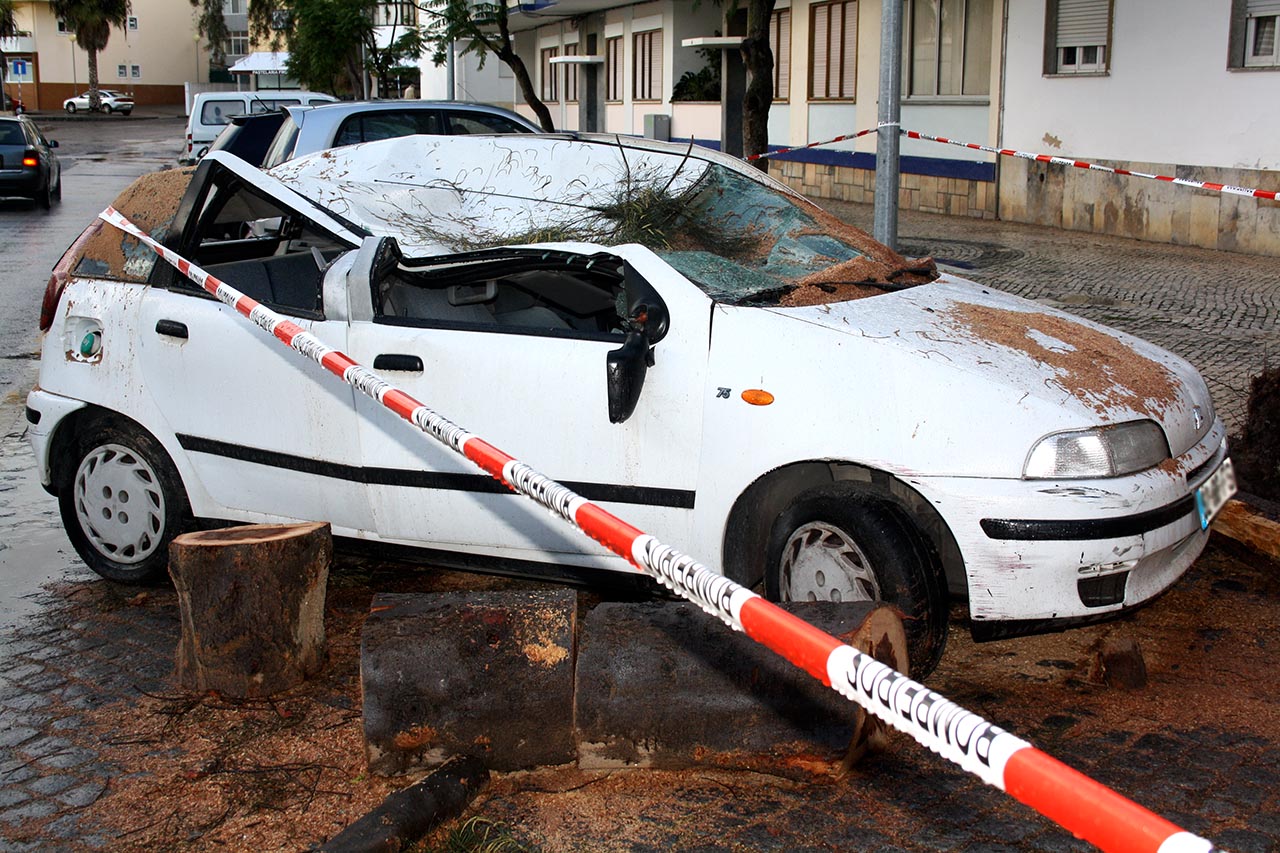 Sul Informação - Olhão: Árvore que caiu devido ao temporal destruiu viatura estacionada