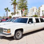 Sul Informação - Cadillac foi a estrela no maior evento de Automóveis Clássicos a sul do Tejo