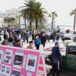 Sul Informação - Cadillac foi a estrela no maior evento de Automóveis Clássicos a sul do Tejo
