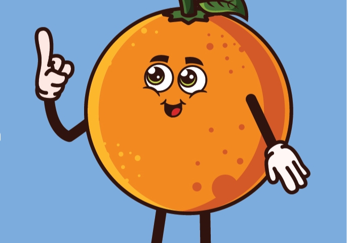 Sul Informação - Albufeira mostra o “Ciclo da Laranja” às crianças do pré-escolar