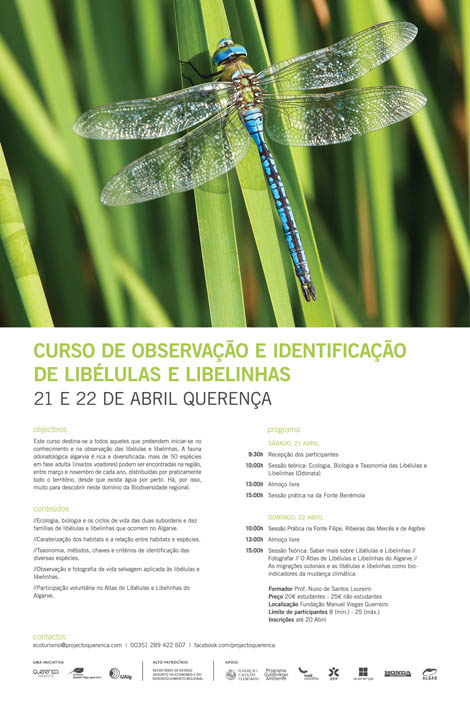 Sul Informação - Dois dias em Querença para aprender tudo sobre «Libélulas e Libelinhas no Algarve»