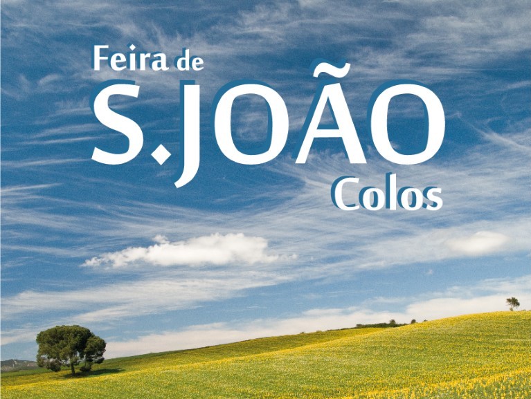 Sul Informação - Odemira: Colos em festa com Feira de S. João
