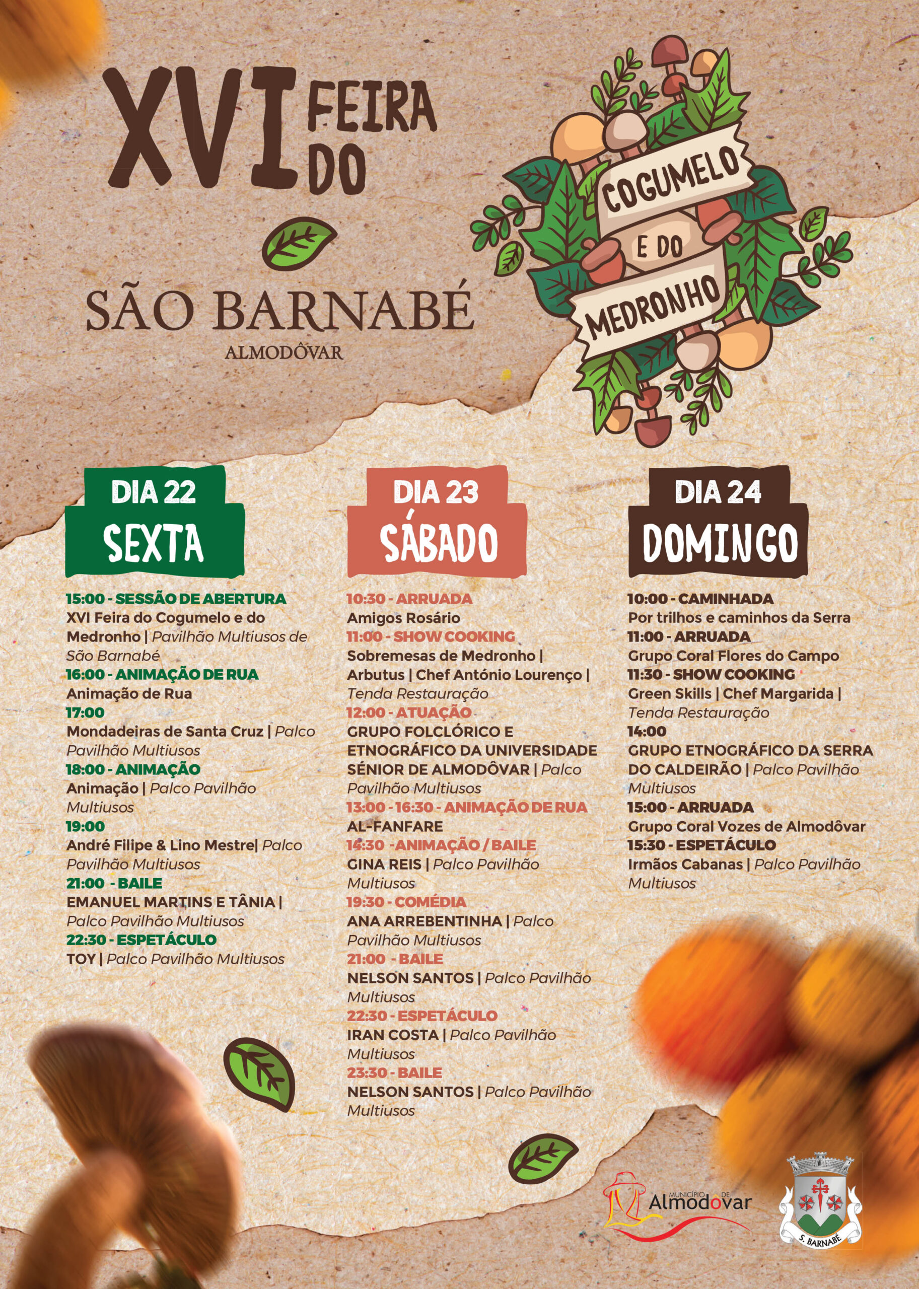 Sul Informação