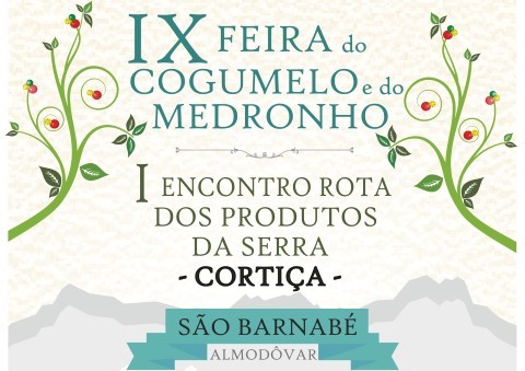 Sul Informação - Cogumelo e medronho são “reis” do fim-de-semana em São Barnabé