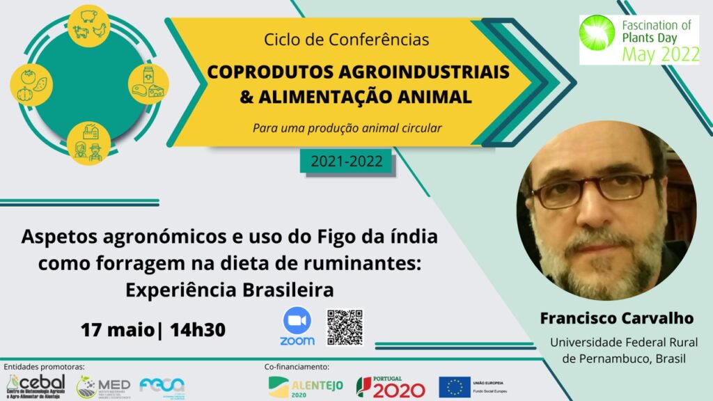 Sul Informação