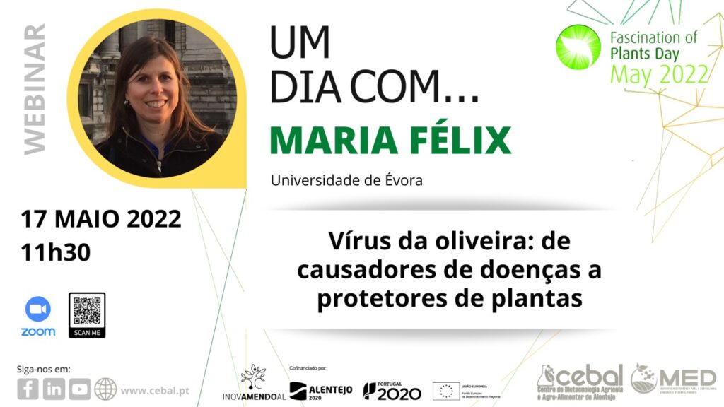 Sul Informação