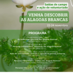 Sul Informação - Aves, insetos ou plantas: saiba como pode descobrir mais sobre as Alagoas Brancas